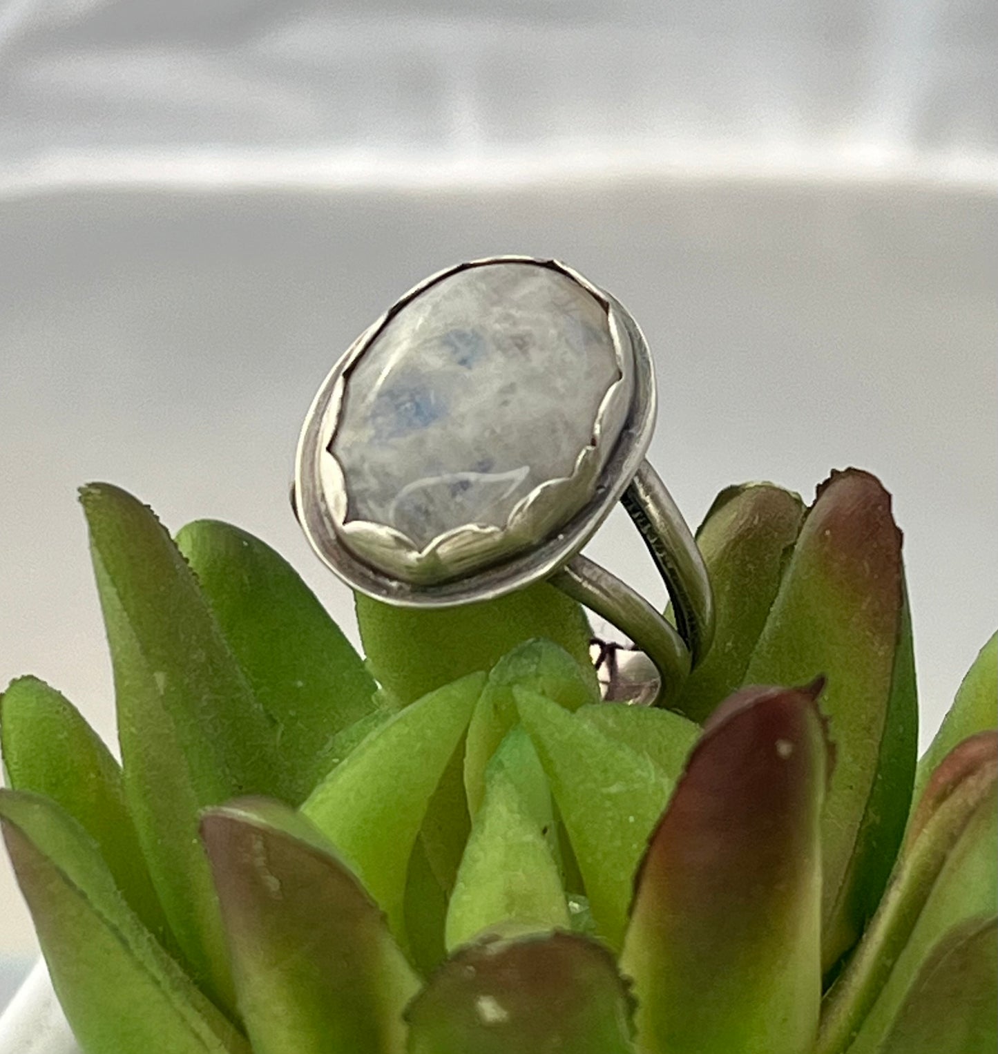 Moonstone set in a Sterling Silver Ring
