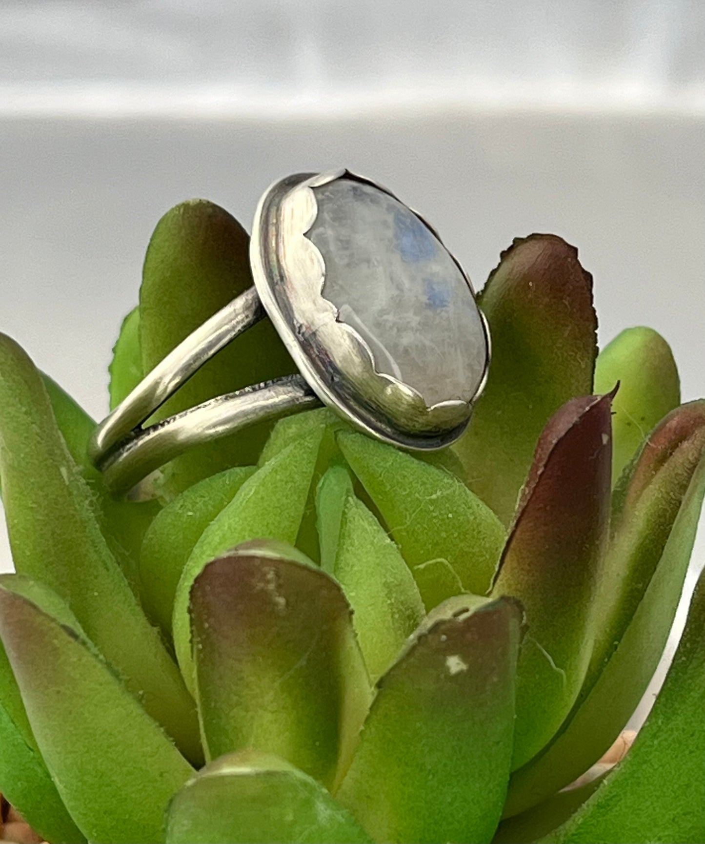 Moonstone set in a Sterling Silver Ring
